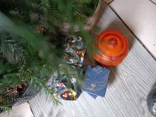 Load image into Gallery viewer, Forest at Twilight
